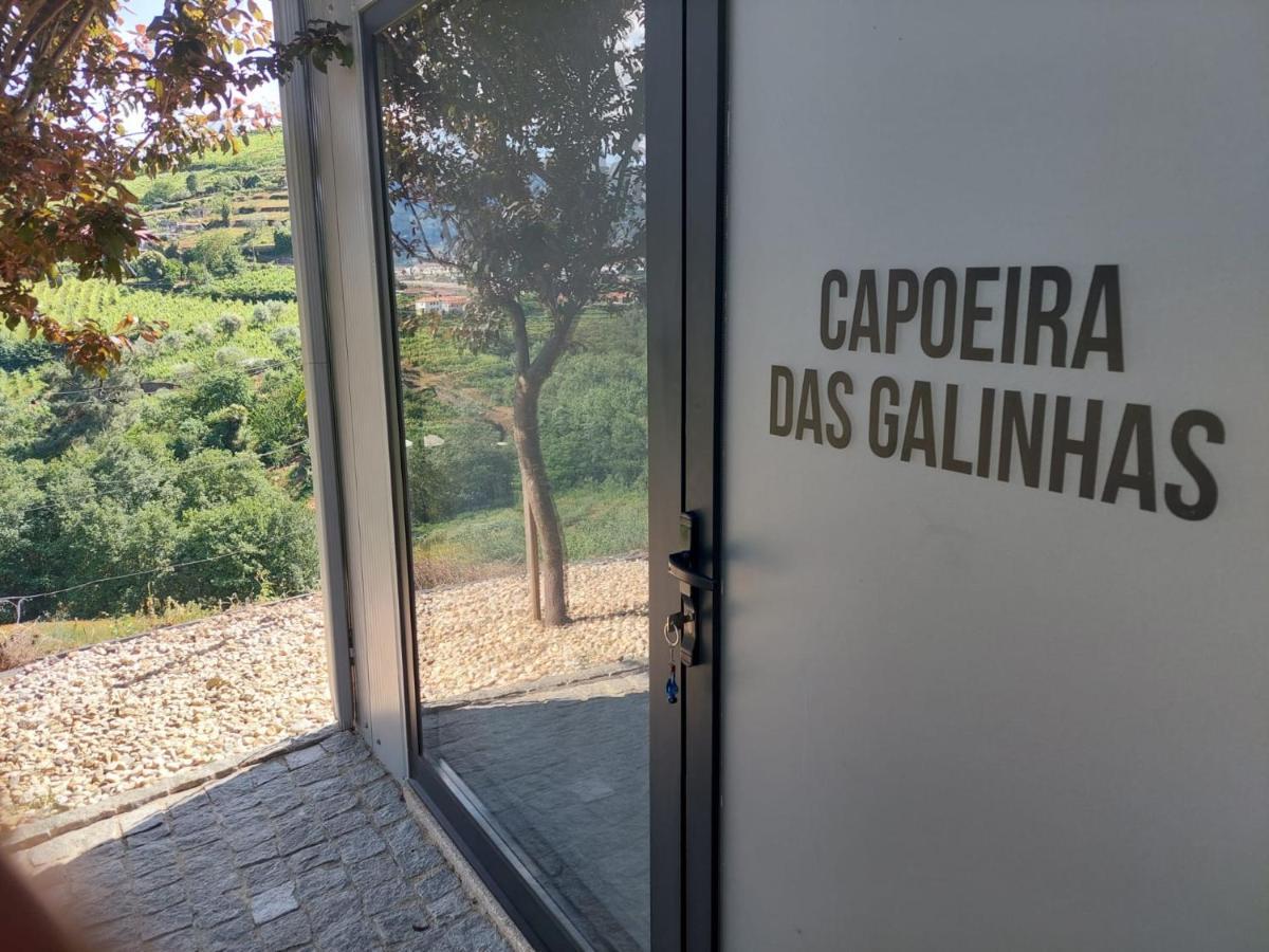 Villa Quinta Sao Jose - Museu Do Triciclo Mesão Frio Exterior foto